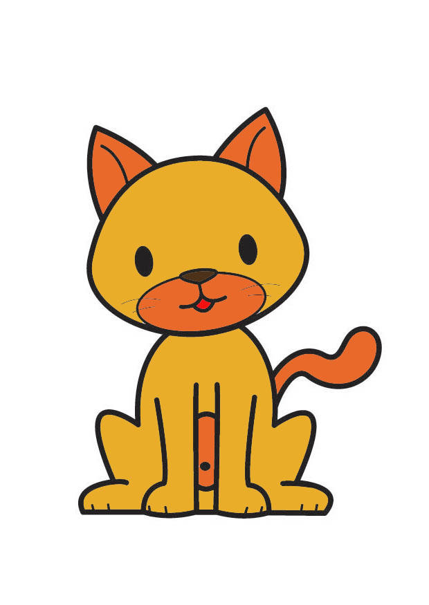 katt bilde katt