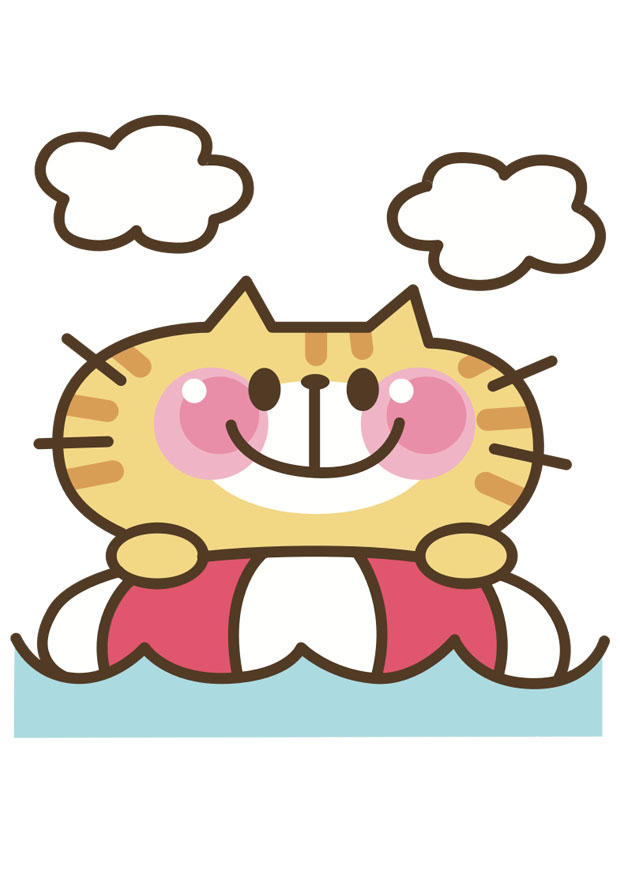 bilde katt