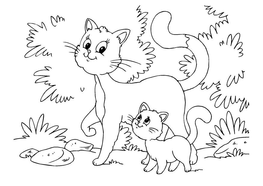 katt og kattunger Fargeleggingsbilde katt og kattunger
