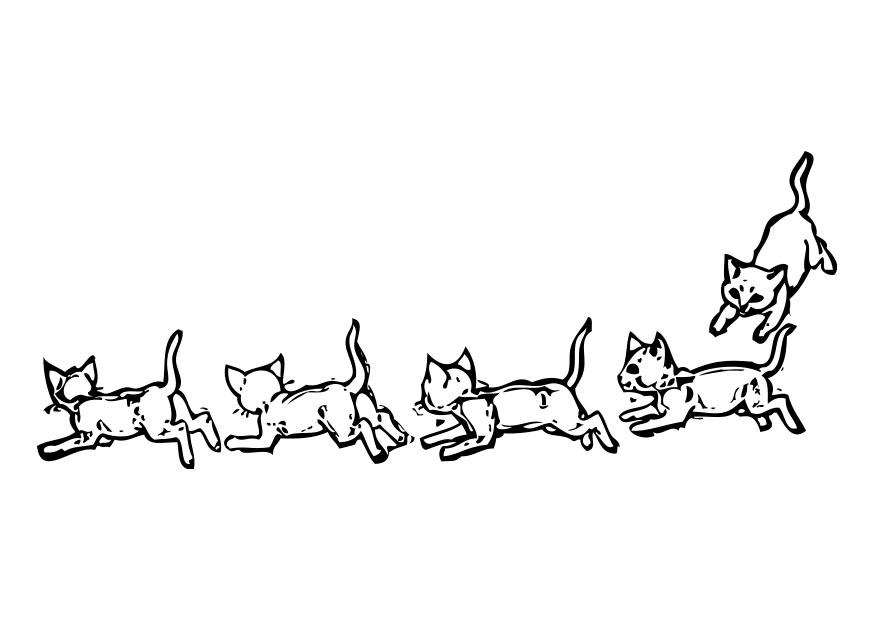katter Fargeleggingsbilde katter