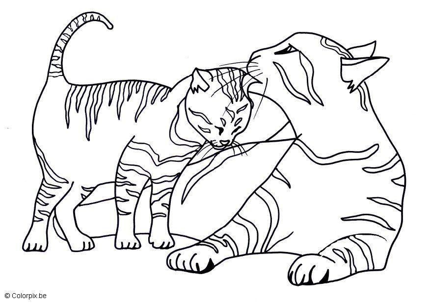Fargeleggingsbilde kattunge