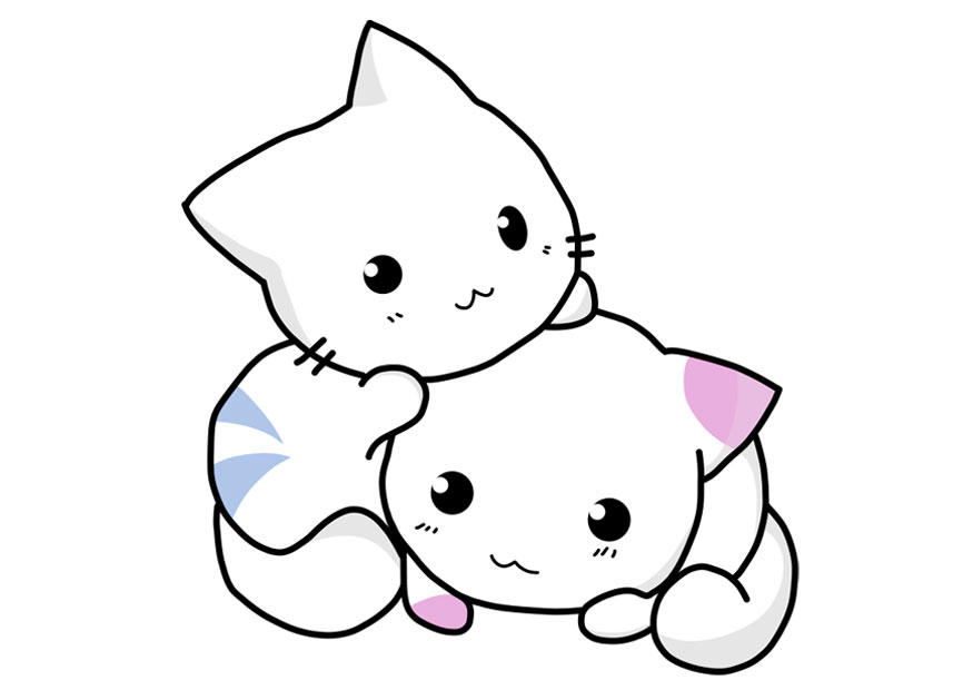 kattunger bilde kattunger