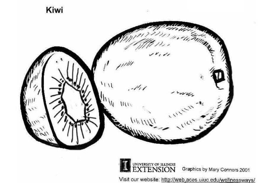 kiwi Fargeleggingsbilde kiwi