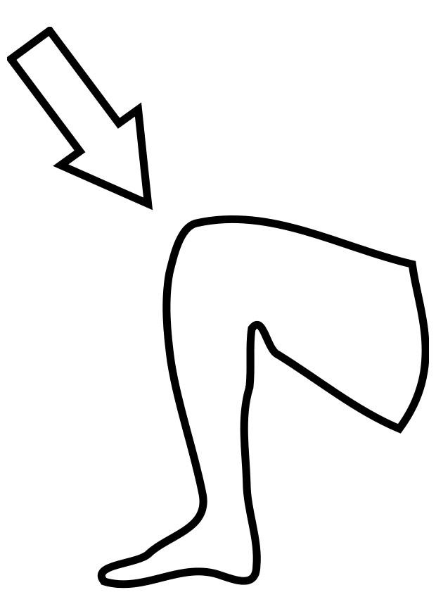 Fargeleggingsbilde kne