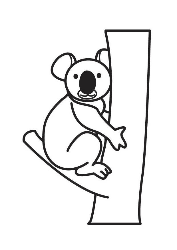 Fargeleggingsbilde koala