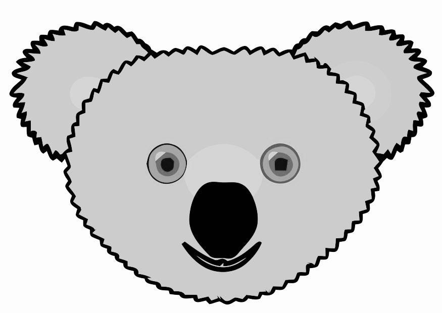 bilde koala bjA¸rn