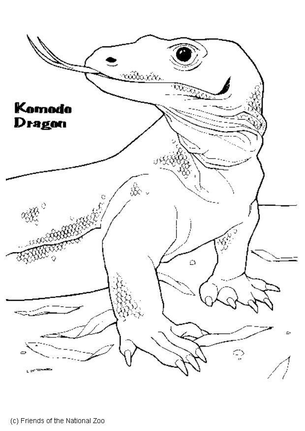 komododrage Fargeleggingsbilde komododrage