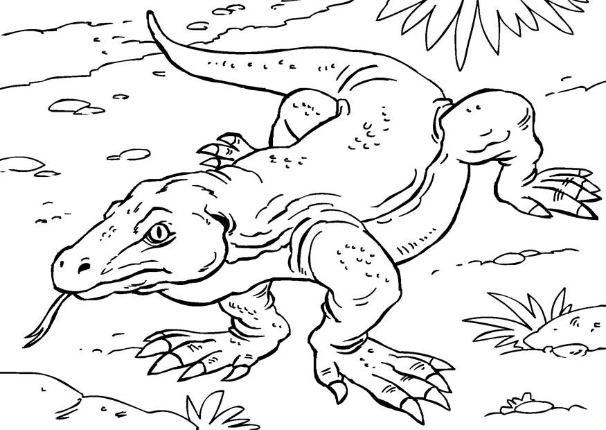 Fargeleggingsbilde komodovaran