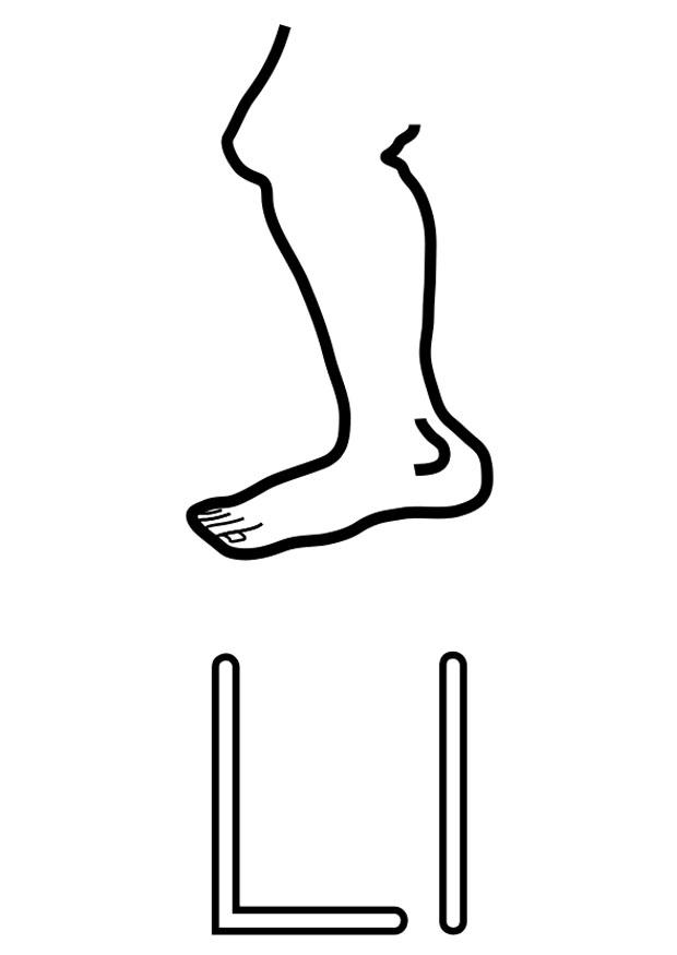 l Fargeleggingsbilde l