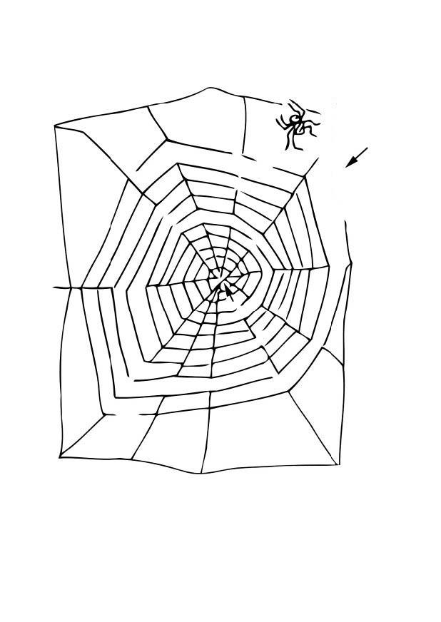 Fargeleggingsbilde labyrint - spindelvev