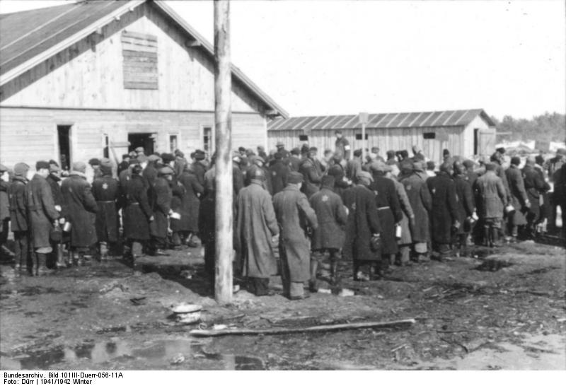 lettland - jA¸der Foto lettland - jA¸der