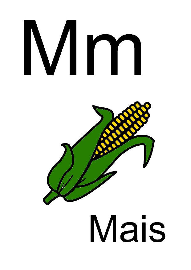 m bilde m
