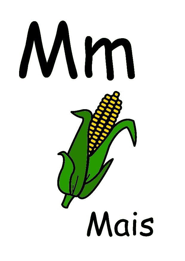 bilde m