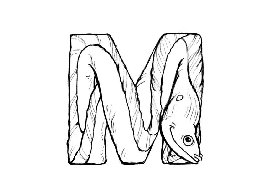m-moray Fargeleggingsbilde m-moray