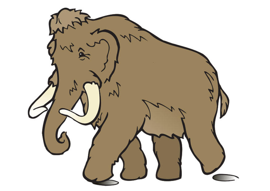 mammut bilde mammut