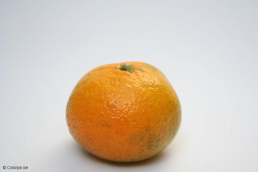 mandarin Foto mandarin