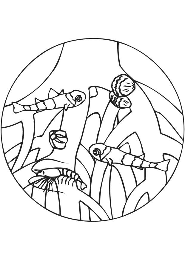 Fargeleggingsbilde mangrove rA¸tter