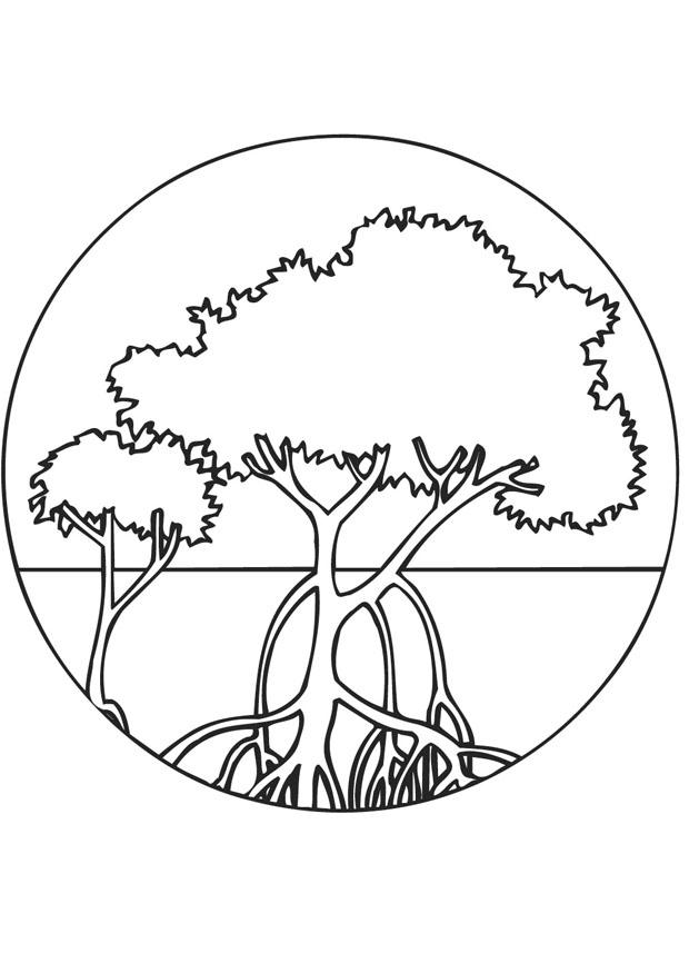mangrovetre Fargeleggingsbilde mangrovetre