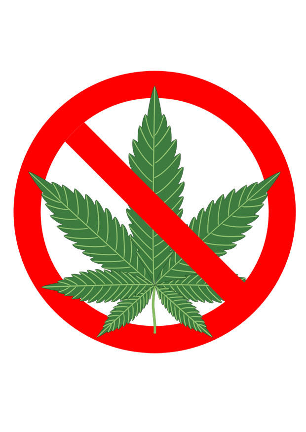 marihuana forbudt bilde marihuana forbudt