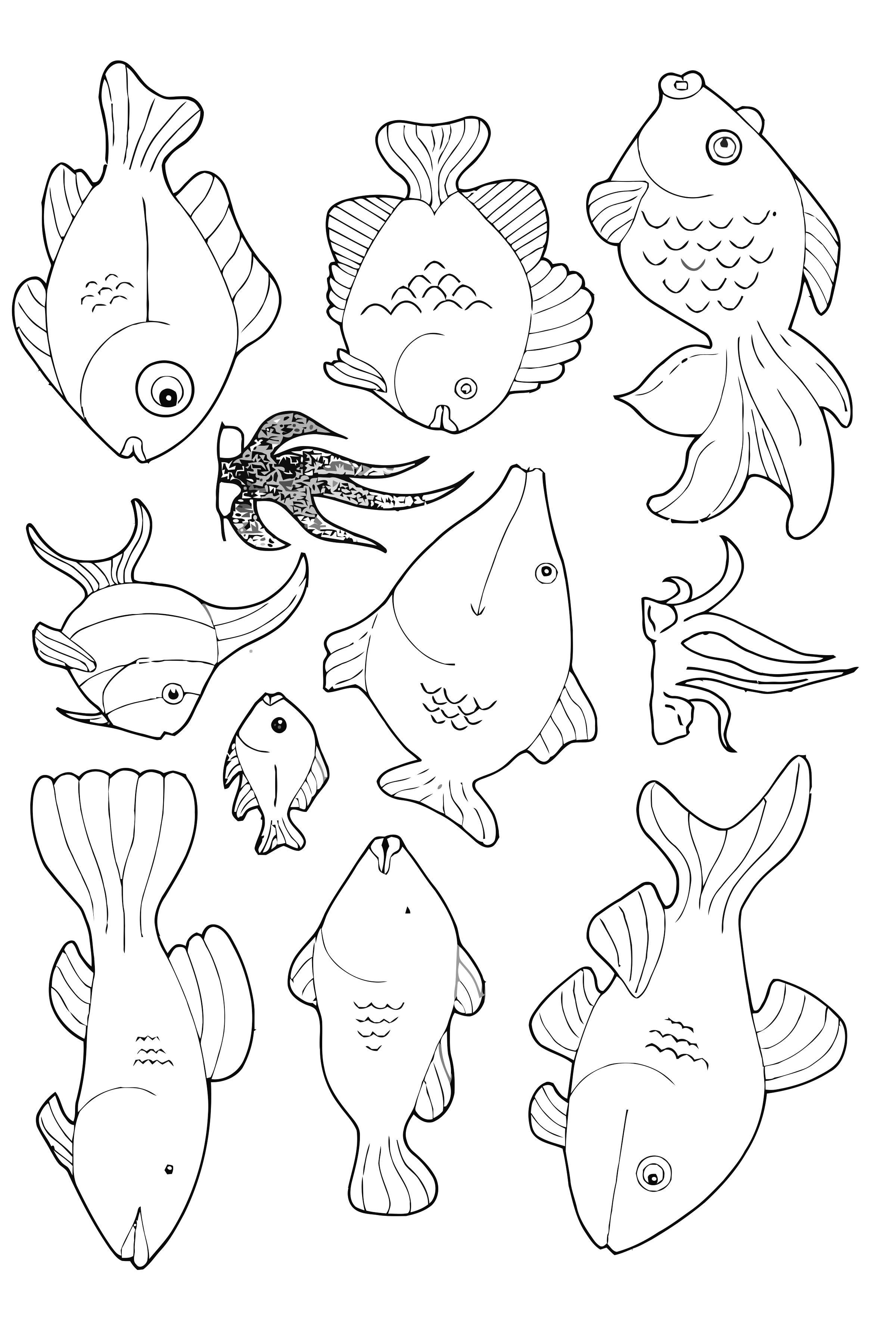 masse fisk som svA¸mmer rundt Fargeleggingsbilde masse fisk som svA¸mmer rundt
