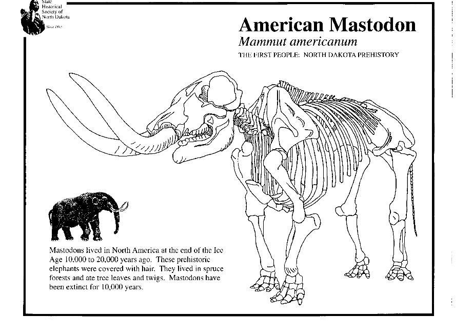 Fargeleggingsbilde mastodon