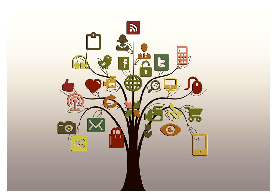 media bilde media