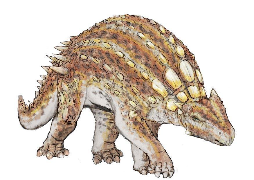 minmi paravertebra dinosaur bilde minmi paravertebra dinosaur