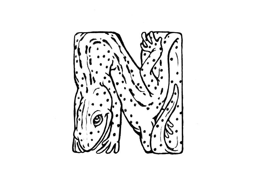 Fargeleggingsbilde n-newt