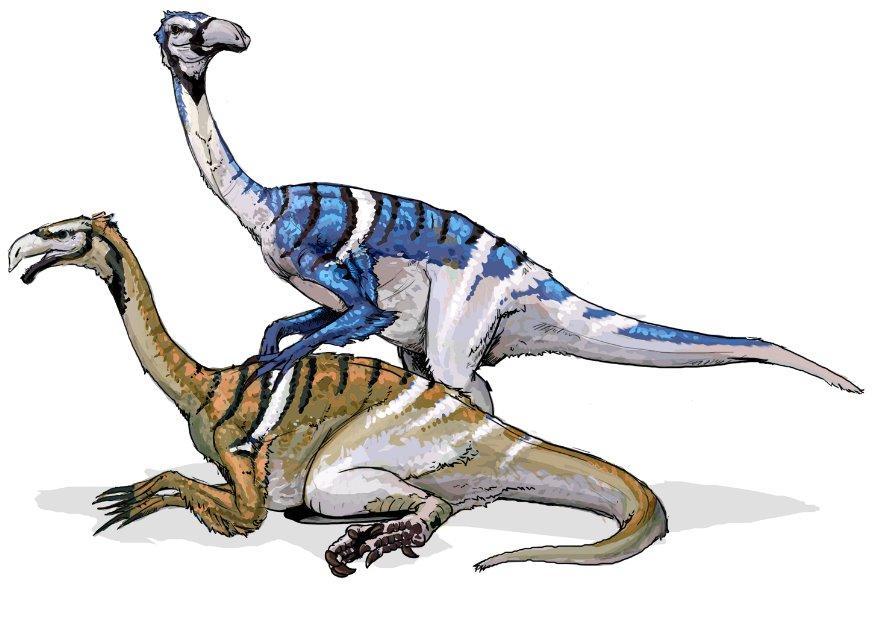bilde nanshuingosaurus dinosaur