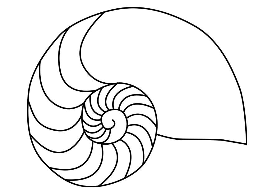 nautilus blekksprut Fargeleggingsbilde nautilus blekksprut