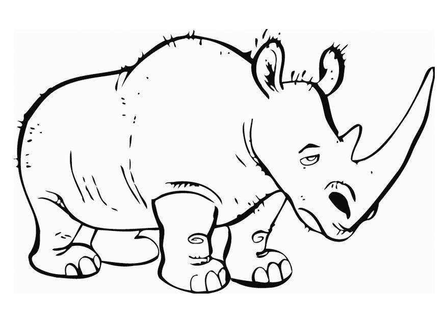 Fargeleggingsbilde neshorn