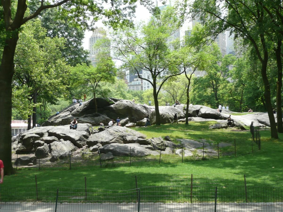 new york - central park Foto new york - central park