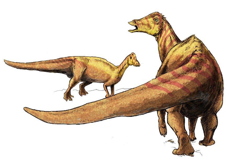nipponosaurus bilde nipponosaurus