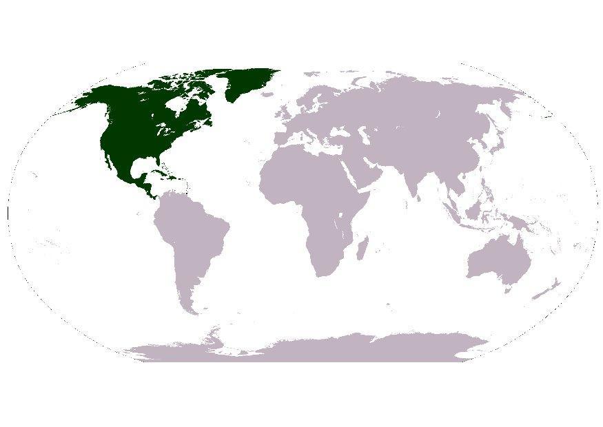 bilde nord-amerika