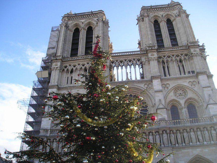 Foto notre-dame i paris