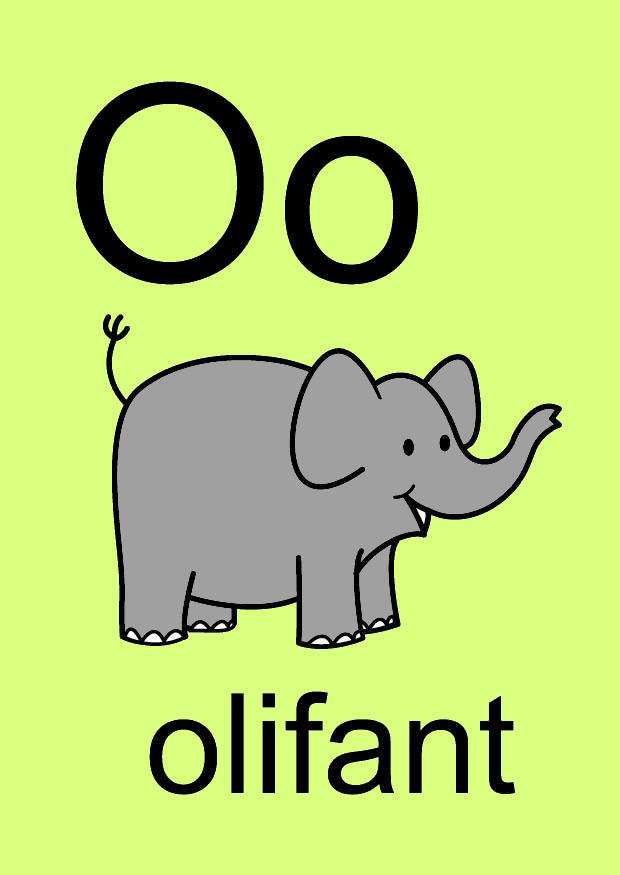 bilde o