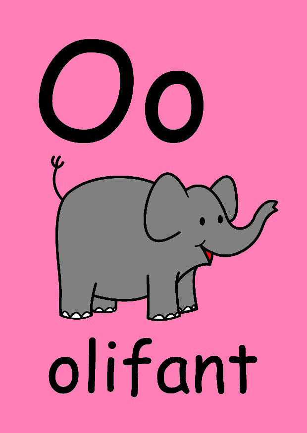 bilde o