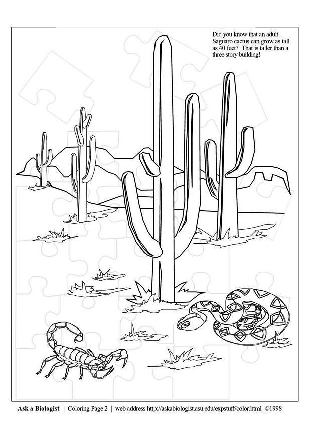 A¸rken Fargeleggingsbilde A¸rken