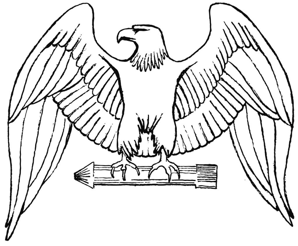 A¸rn Fargeleggingsbilde A¸rn