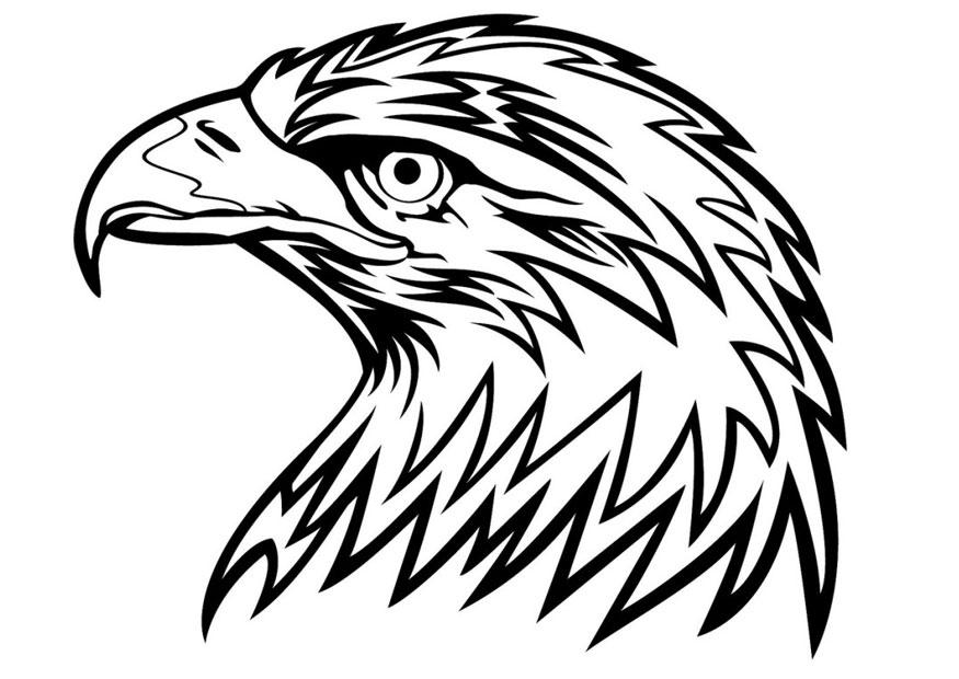 A¸rn Fargeleggingsbilde A¸rn
