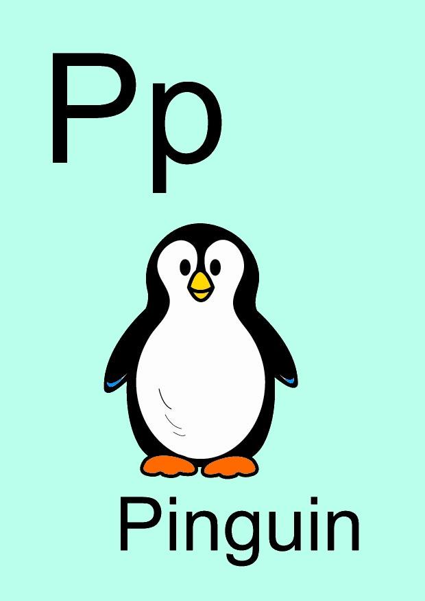 p bilde p