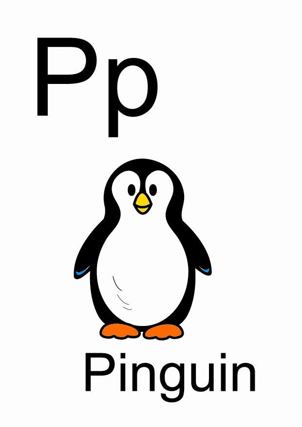 p bilde p