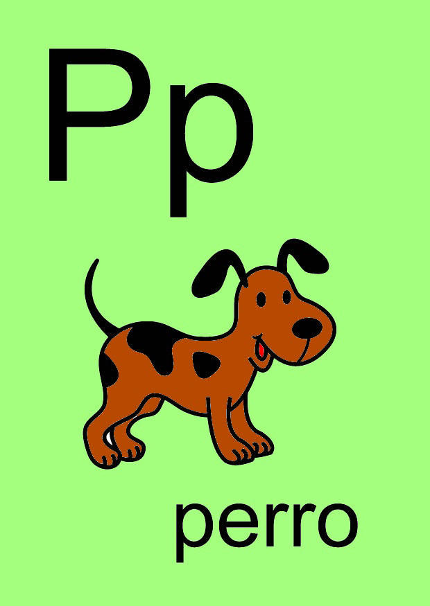 p bilde p