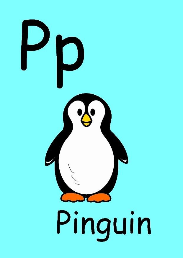bilde p