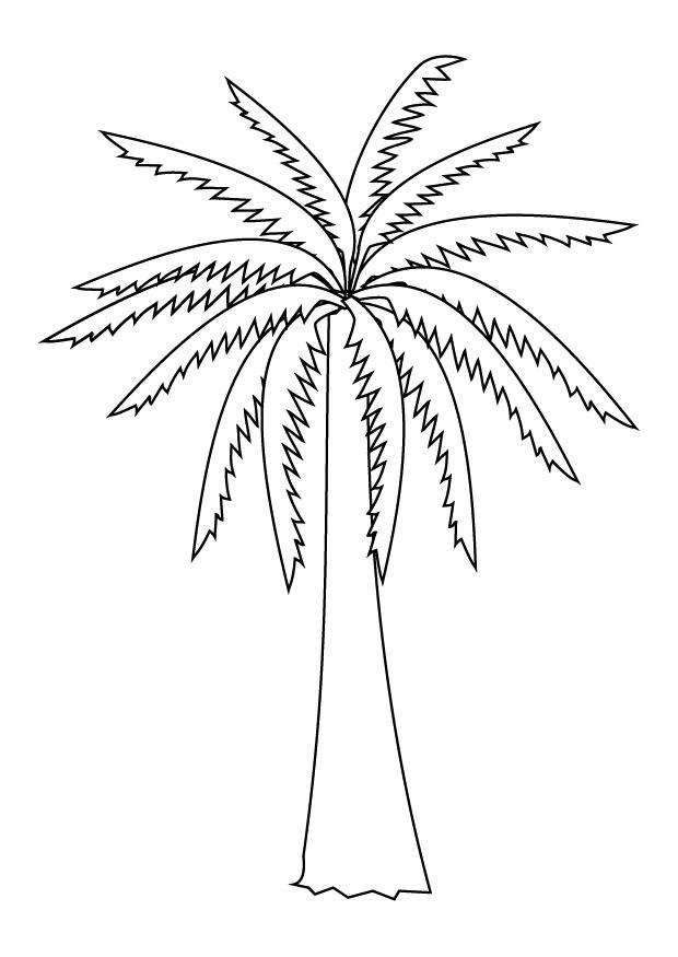 Fargeleggingsbilde palme