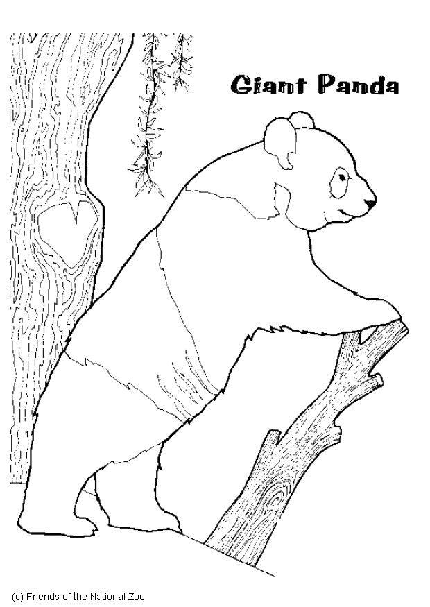Fargeleggingsbilde pandabjA¸rn