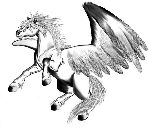pegasus Fargeleggingsbilde pegasus