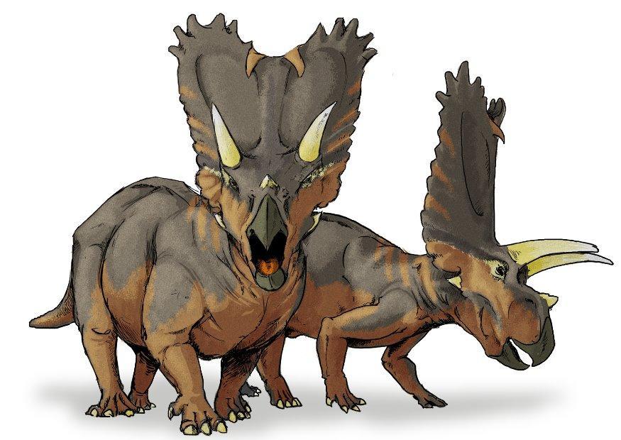 pentaceratops dinosaur bilde pentaceratops dinosaur