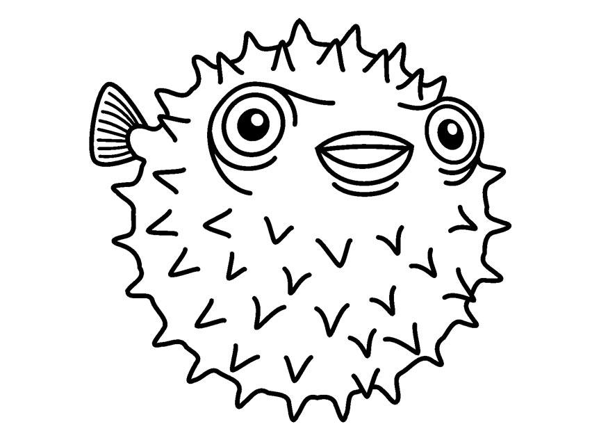 Fargeleggingsbilde piggfisk