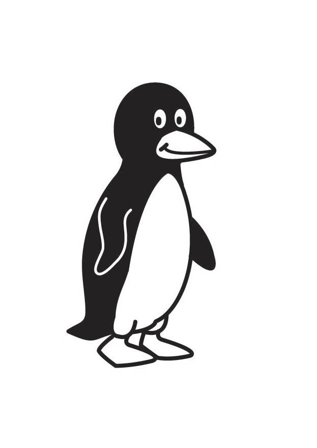 pingvin Fargeleggingsbilde pingvin